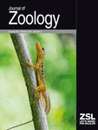 Dufour, C.M.S., C.M. Donihue, J.B. Losos and A. Herrel (2019) Parallel increases in grip strength after a major hurricane in two species of Anolis lizards on Dominica. 77-83. J. Zool. 309: Doi: 10.1111/jzo.12685